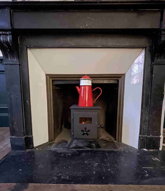 Wood stove for fireplace